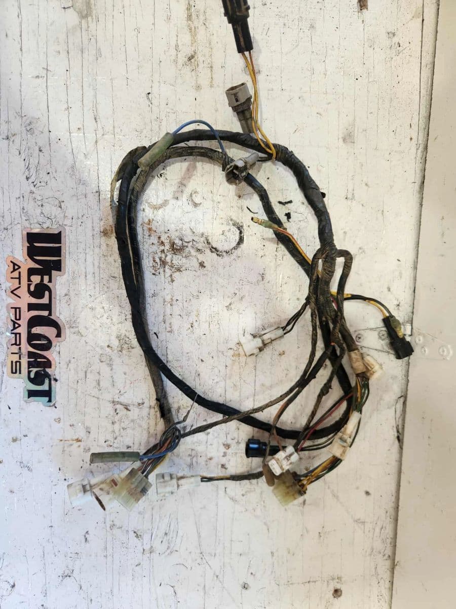 2002 And Up Complete Wiring Harness