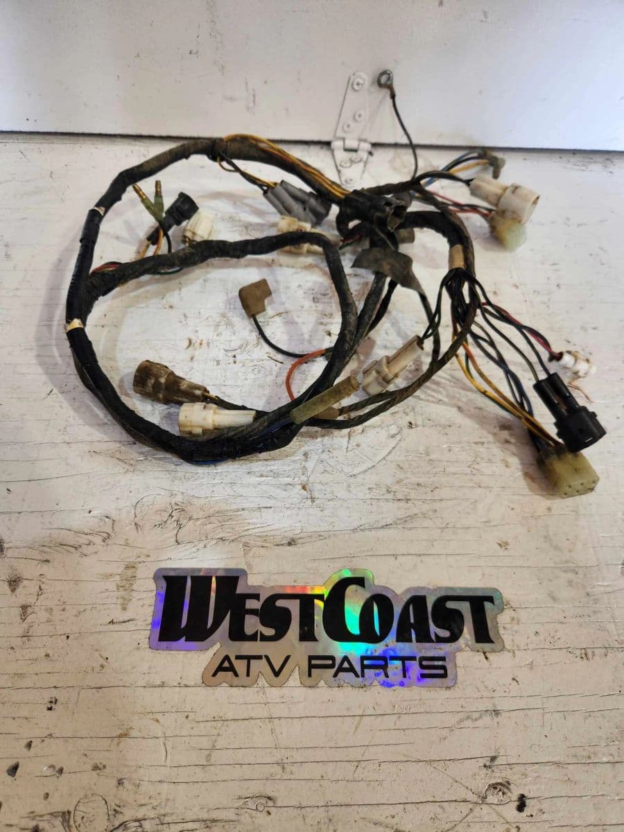 2002 And Up OEM Wiring Harness