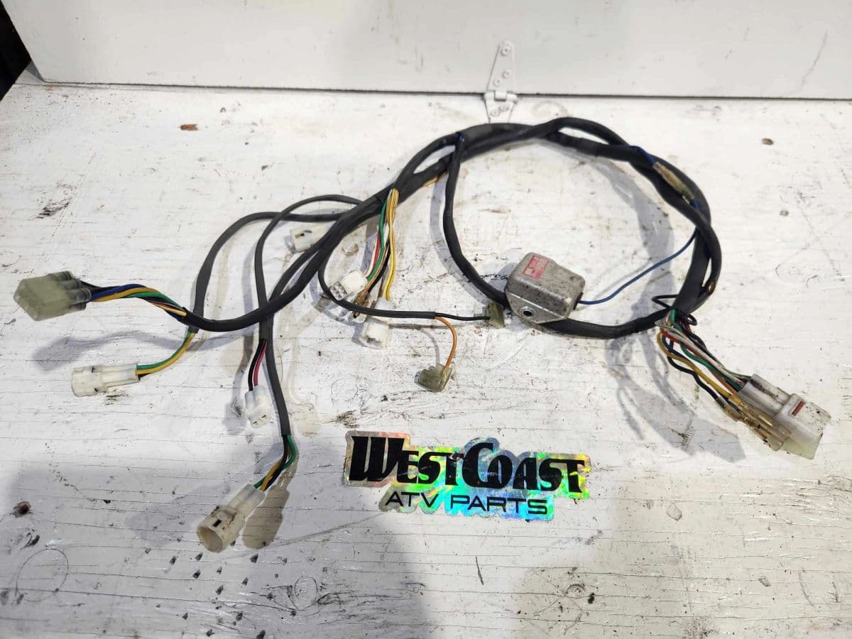 2002 And Up South TX Wiring Harness