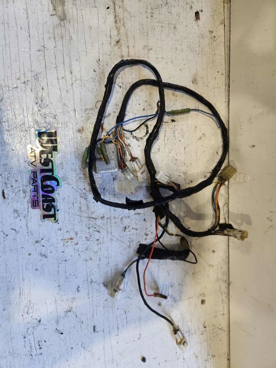2002 And Up Wiring Harness