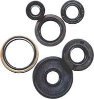 WINDEROSA OIL SEAL SET: BANSHEE