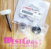 BANSHEE WATER PUMP KIT