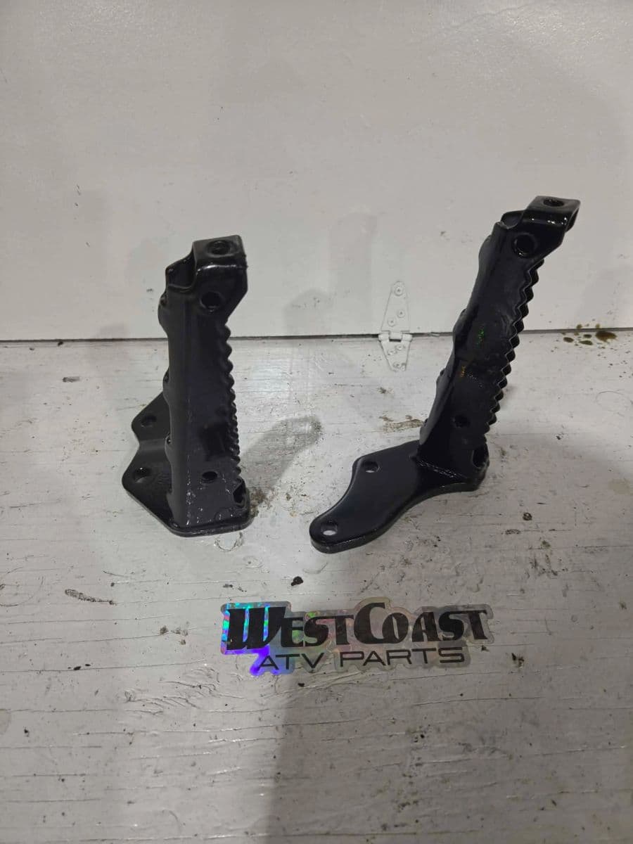 OEM Foot Pegs Painted Black